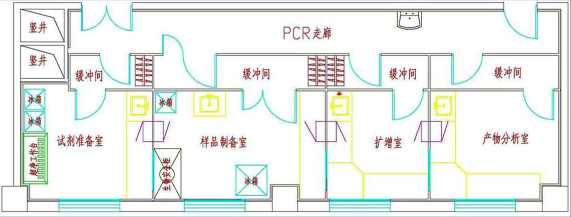 PCR球盟会官网入口